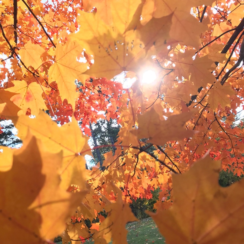 Meet your Posher, Paris